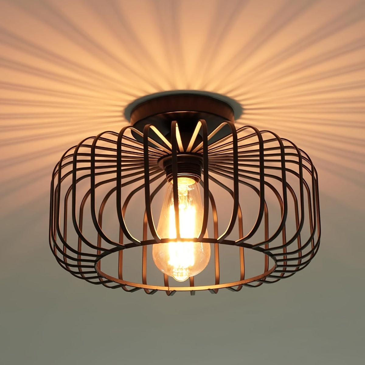 Zwarte plafondlamp met ronde metalen kap en E27-fitting