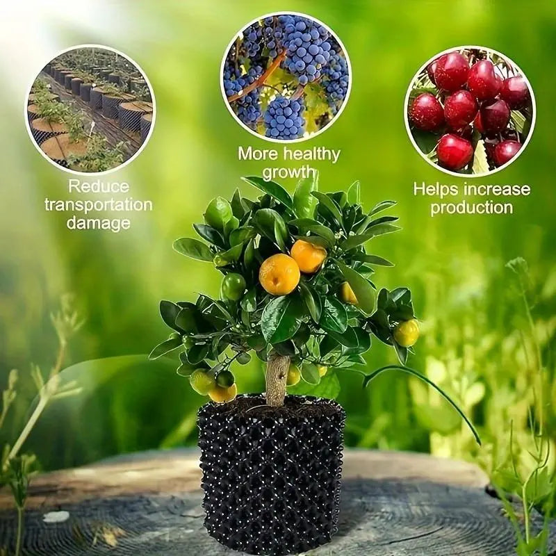Wortelgeleidingssysteem voor Gezondere Plantengroei en Betere Wortelontwikkeling
