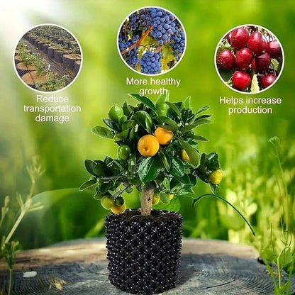 Wortelgeleidingssysteem voor Gezondere Plantengroei en Betere Wortelontwikkeling