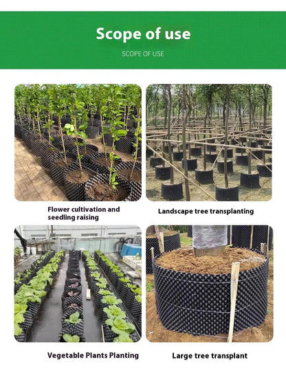 Wortelgeleidingssysteem voor Gezondere Plantengroei en Betere Wortelontwikkeling