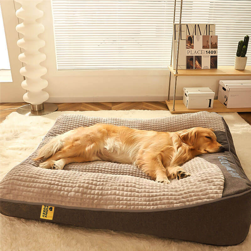 Orthopedisch hondenkussen met hoofdkussen – Memory Foam voor grote honden