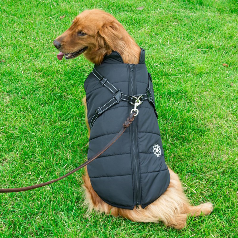 Waterdichte winterjas voor honden met geïntegreerd harnas