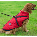 Waterdichte winterjas voor honden met geïntegreerd harnas