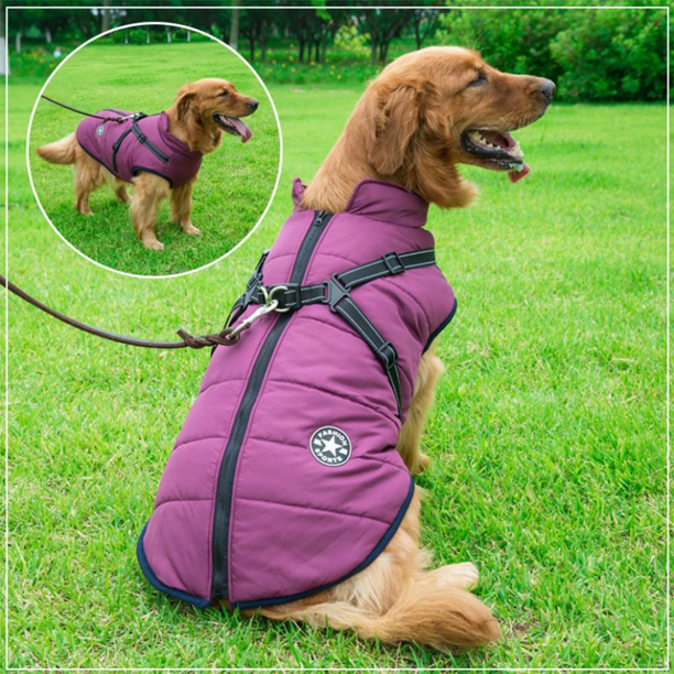 Waterdichte winterjas voor honden met geïntegreerd harnas
